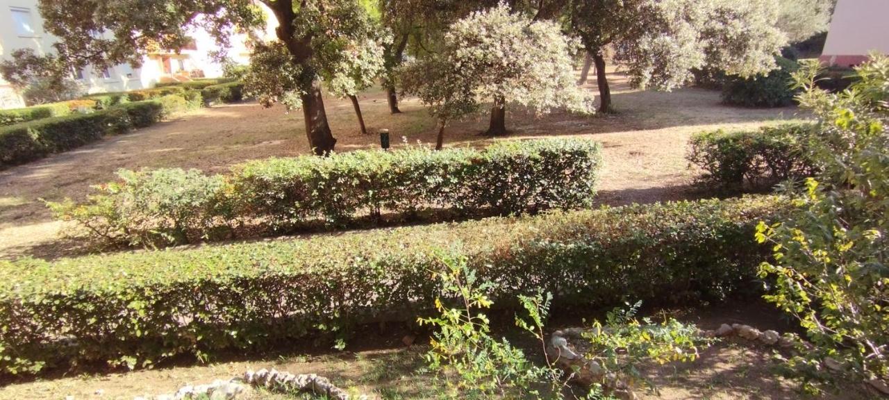 Appartement Spacieux Avec Parking Gratuit Σετ Εξωτερικό φωτογραφία